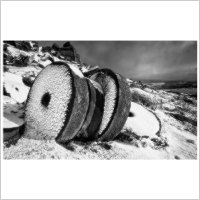Landscape 2011-12